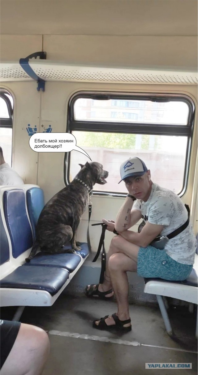 Ненавижу быдло