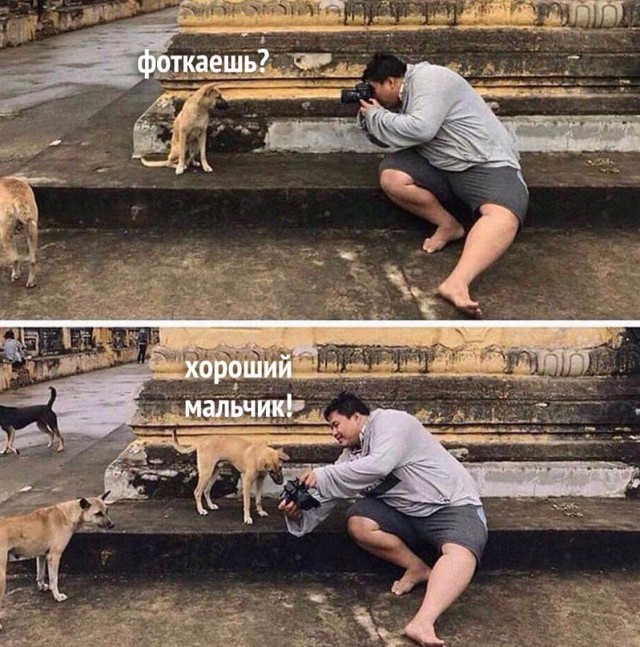 Картинки и мемы для настроения - 15