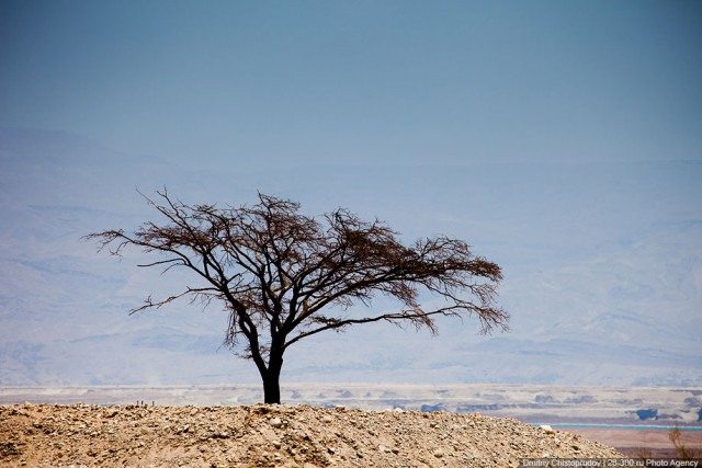 Мертвое море