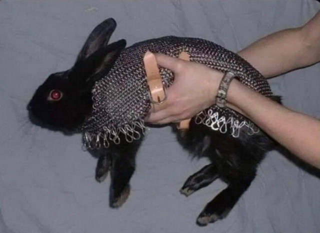 Нет, только показываю