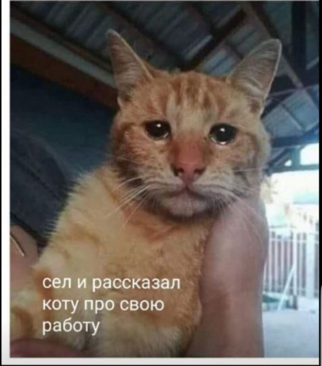 Так себе картинки 25.12.22