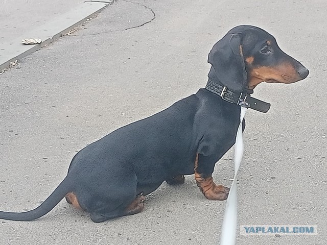 Всё-таки четверг