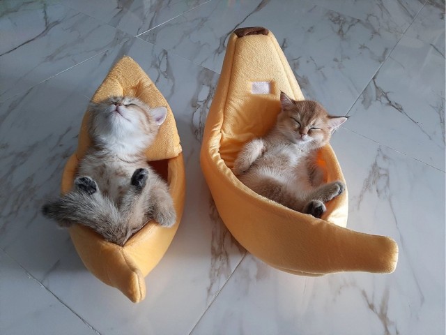 Красотка