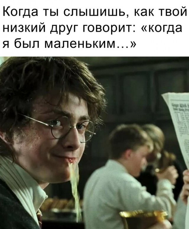 Весёлый полтишок 10.10.23