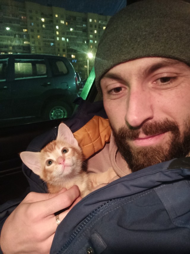 Год назад мы стали рабами (котовторник)