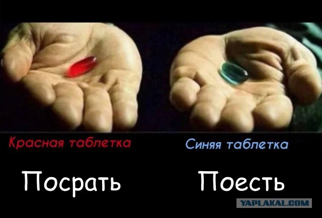 Выбор