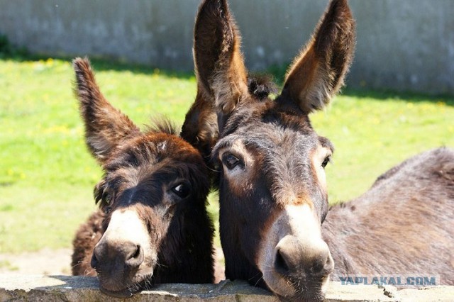 Всё о Туркменистане