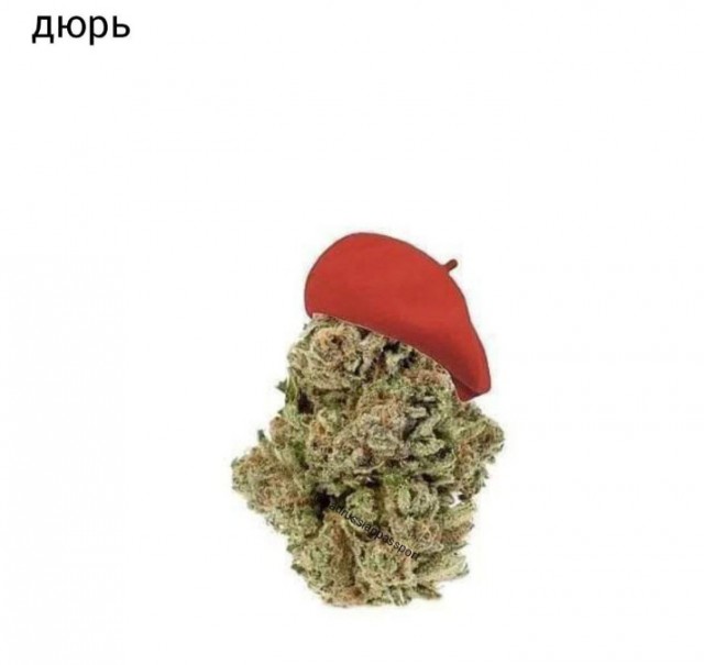 Всего понемногу. Оо 22.02.24