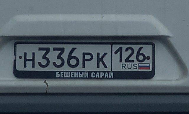 Сегодняшнее фото без затей