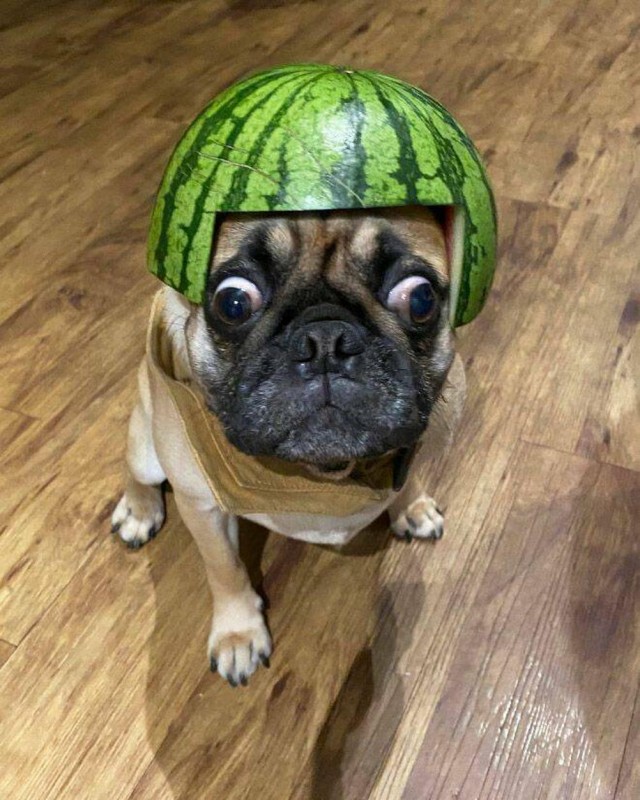 ФотоВинегрет