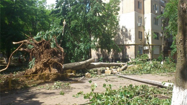 Ураган в Одессе