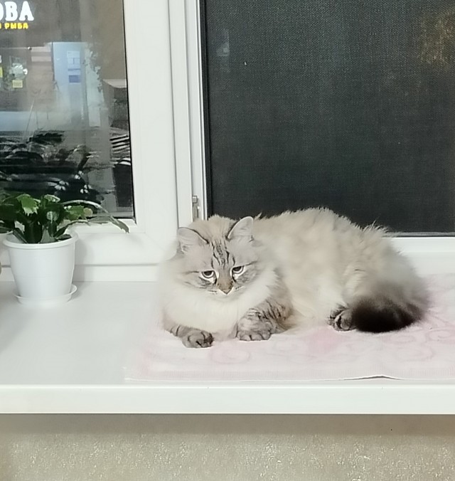 Смотрите и завидуйте!