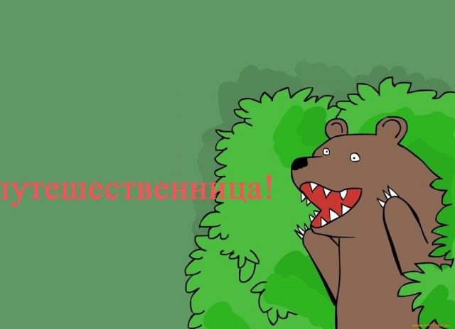 Таможенники Внуково задержали модель за контрабанду драгоценностей на 12 миллионов рублей