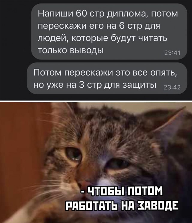 Так себе картинки 28.03.25