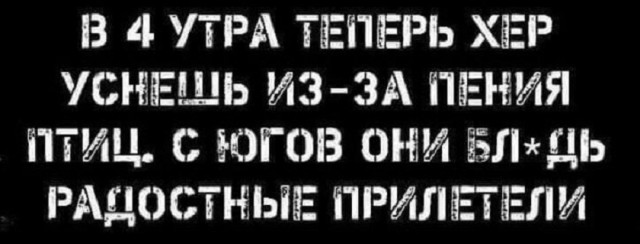 Так себе картинки 31.03.25