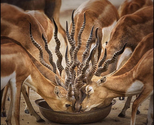 Прикольные и просто красивые картинки 04.04.2025