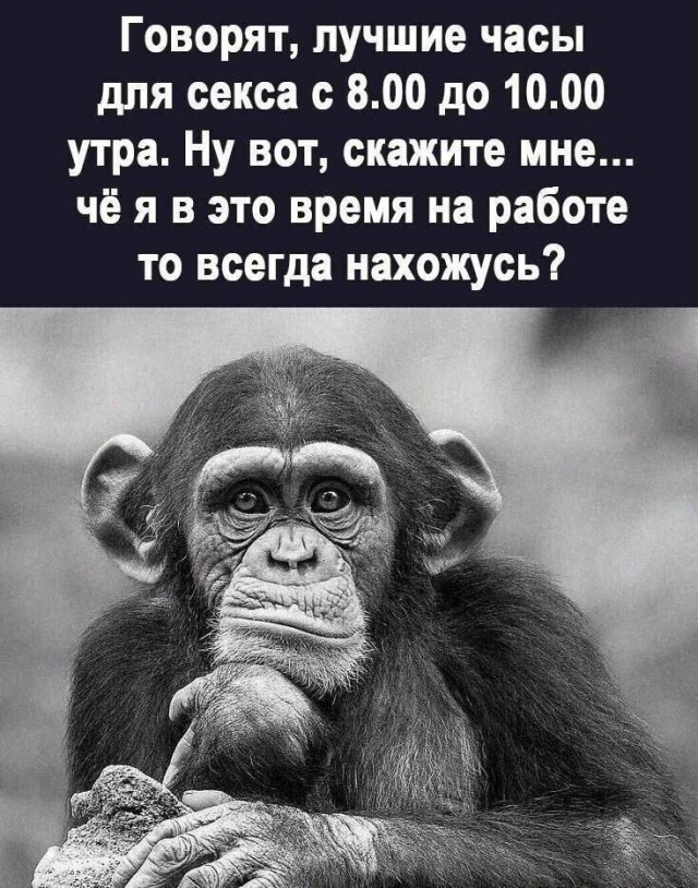 Так себе картинки 29.04.25