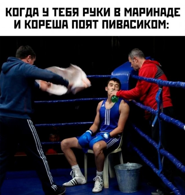 Веселые картинки в понедельник (26.05)