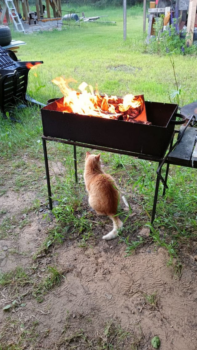 Ну что братцы, надеюсь я не помру?