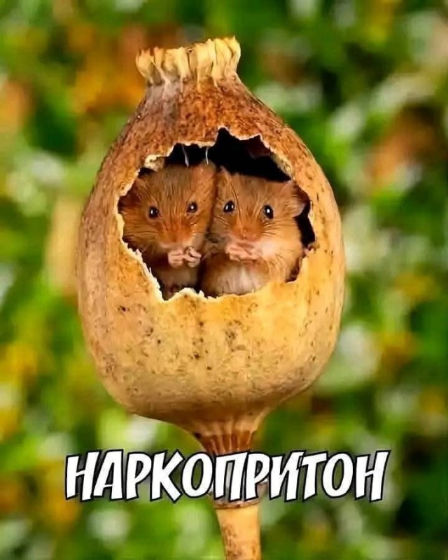 Маленькая пятница 02.07.25