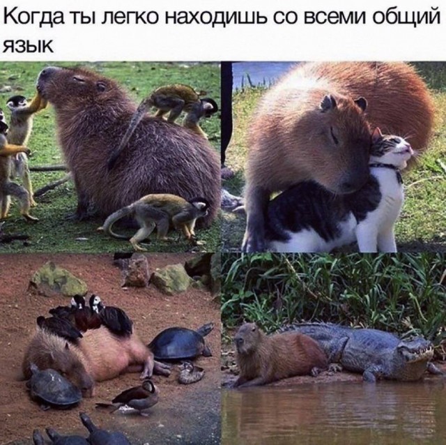 Завалялось тут случайно немного забавных картинок