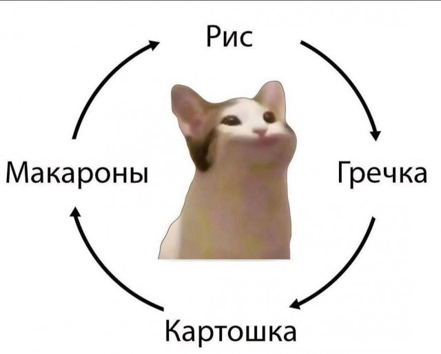 Картинки для деградации 36 (разной степени свежести)