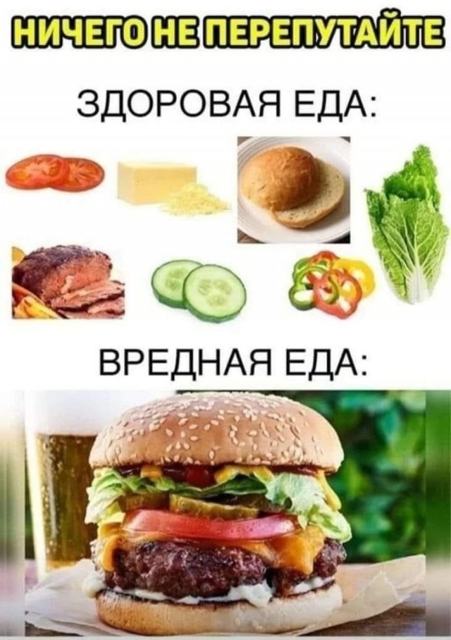 Шаурму нужно есть для здоровья, — исследование