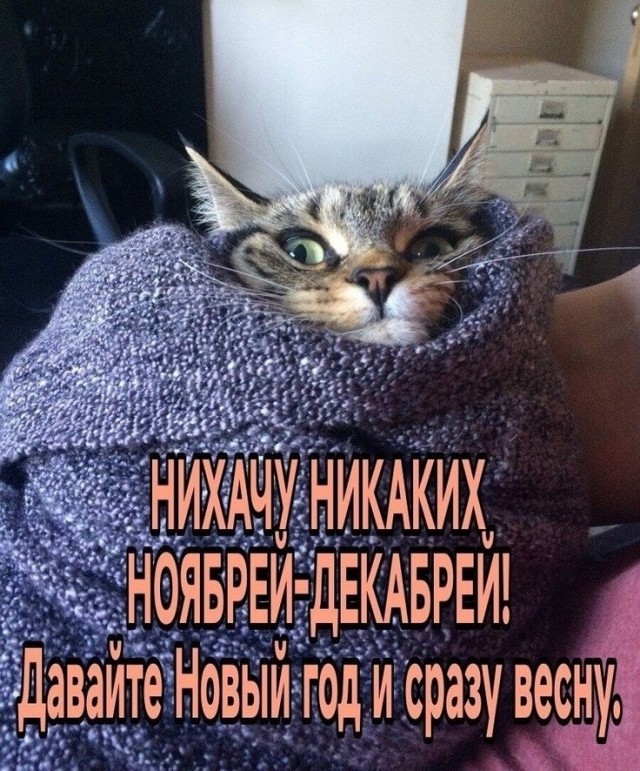 Субботние картинки