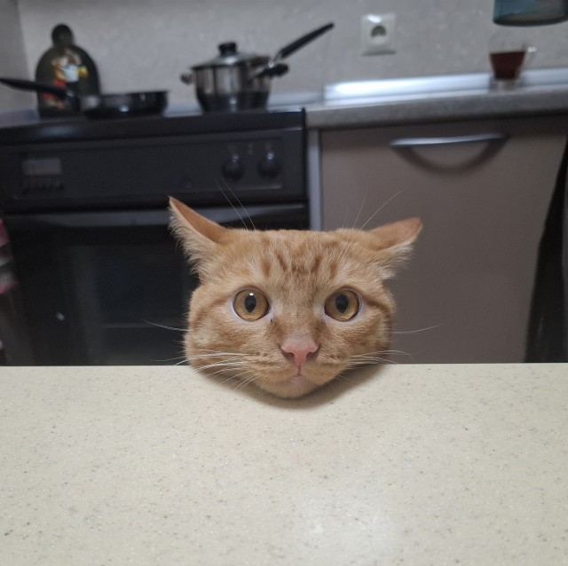Усы , в кото