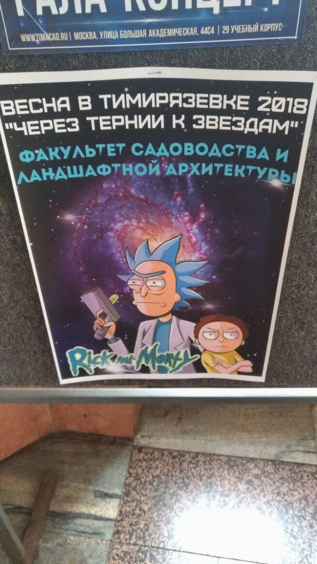 Всякие афиши там, объявления