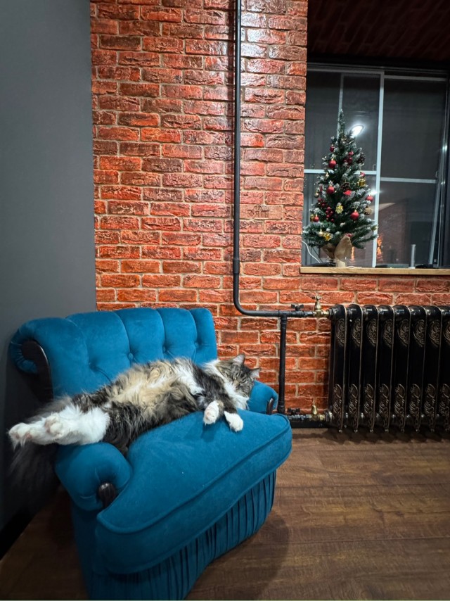 Поймал момент.