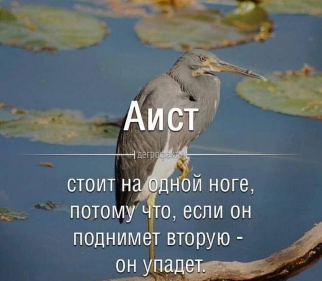Всякой Хни вам в ленту, дорогие деграданты