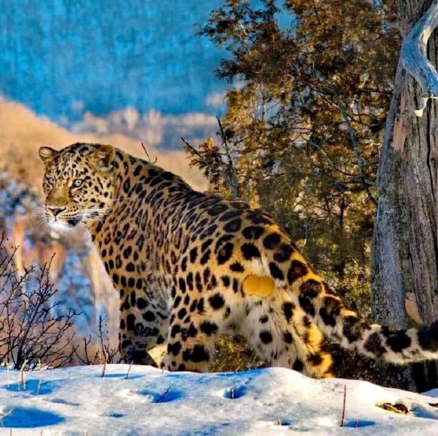 Так себе картинки 15.03.26