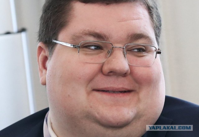 Тонны рыбы, отель за полмиллиарда и «огуречный бизнес»: на чем зарабатывает сын губернатора Никита Кожемяко