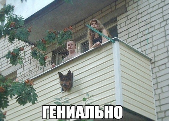 Так себе картинки 03.09.26