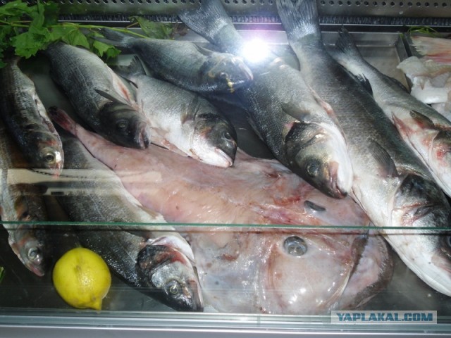 Ужасы морей и океанов