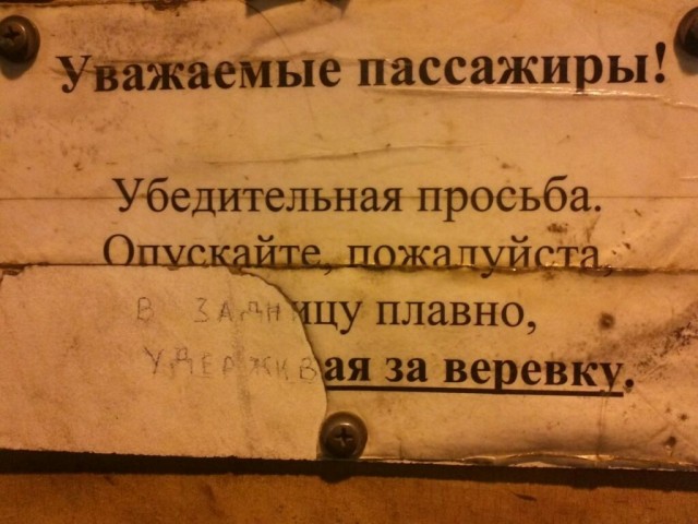 Скиньте рандомную хрень
