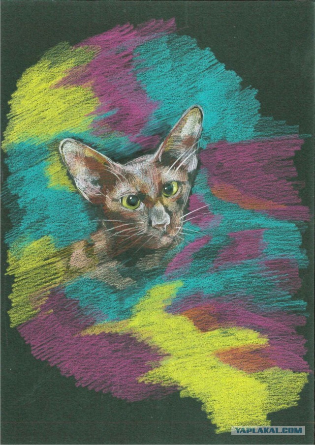 Рисунки животных. Продолжение.