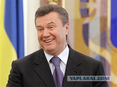 Янукович фигни не скажет