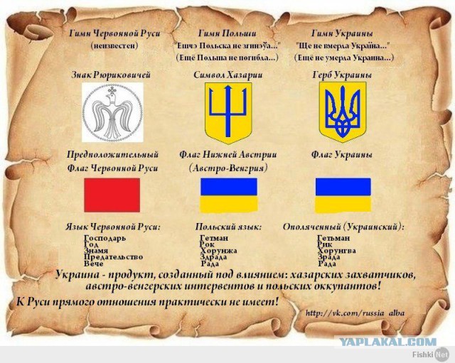 За линией фронта