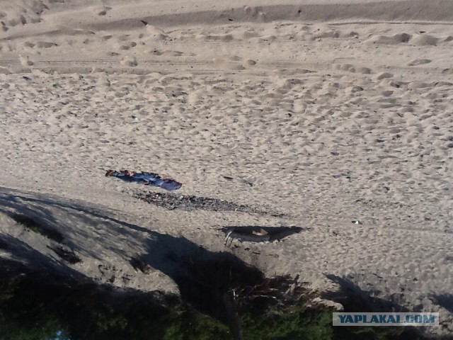 Жара. Город. 40 минут. Море.