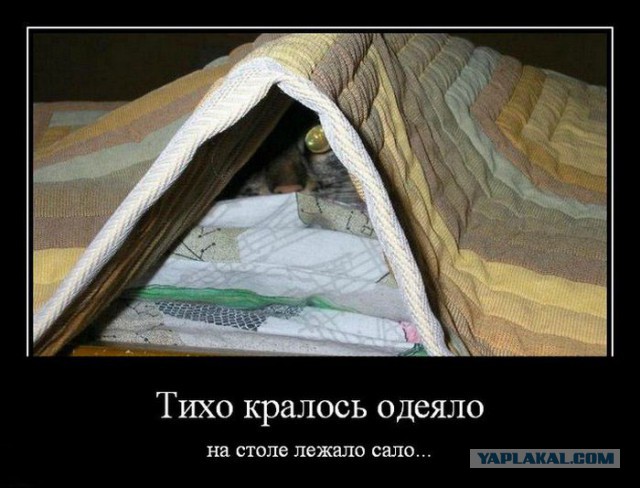 В тесноте, да не в обиде