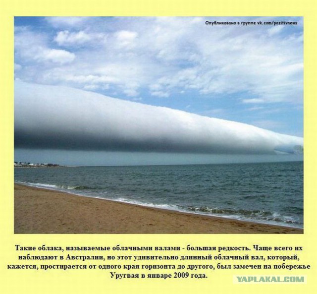 20 фактов обо всем