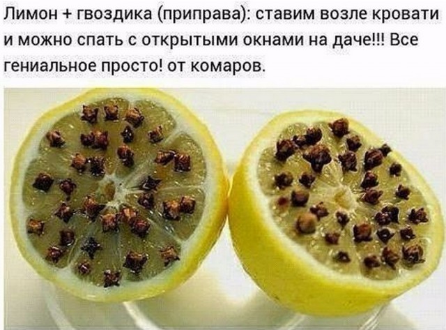 Весёлости в картинках