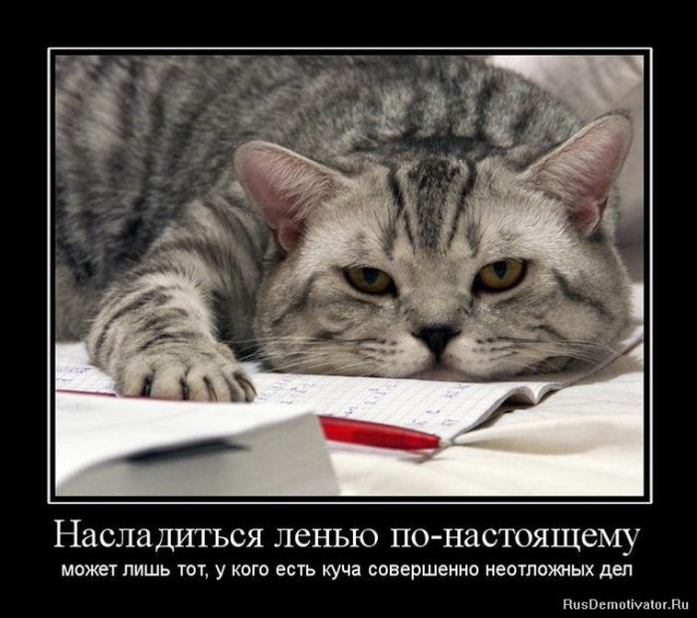Вы хотите "демов"? часть 2-я