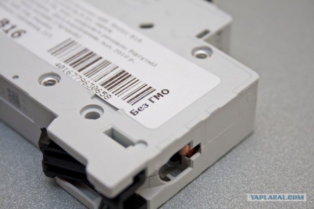 ГМО. Головной Мозг Отсутствует.