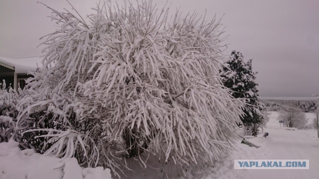 На Москву надвигается мегаснегопад