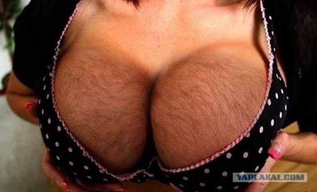 Новый тренд соцсетей – ручка как доказательство пышной груди