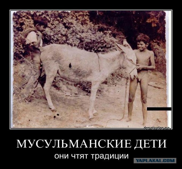 Жизнь после ОРГАЗМА  16+