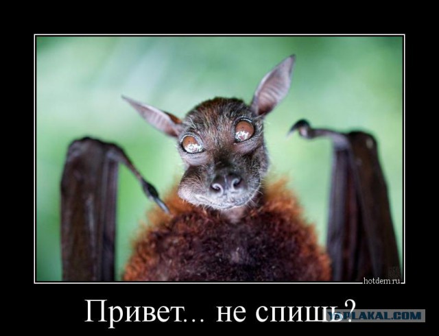 Новая подборка картинок